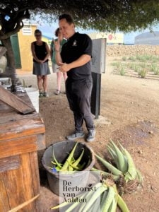 Aloe Vera rondleiding van Aruba. De Herborist van Aalden