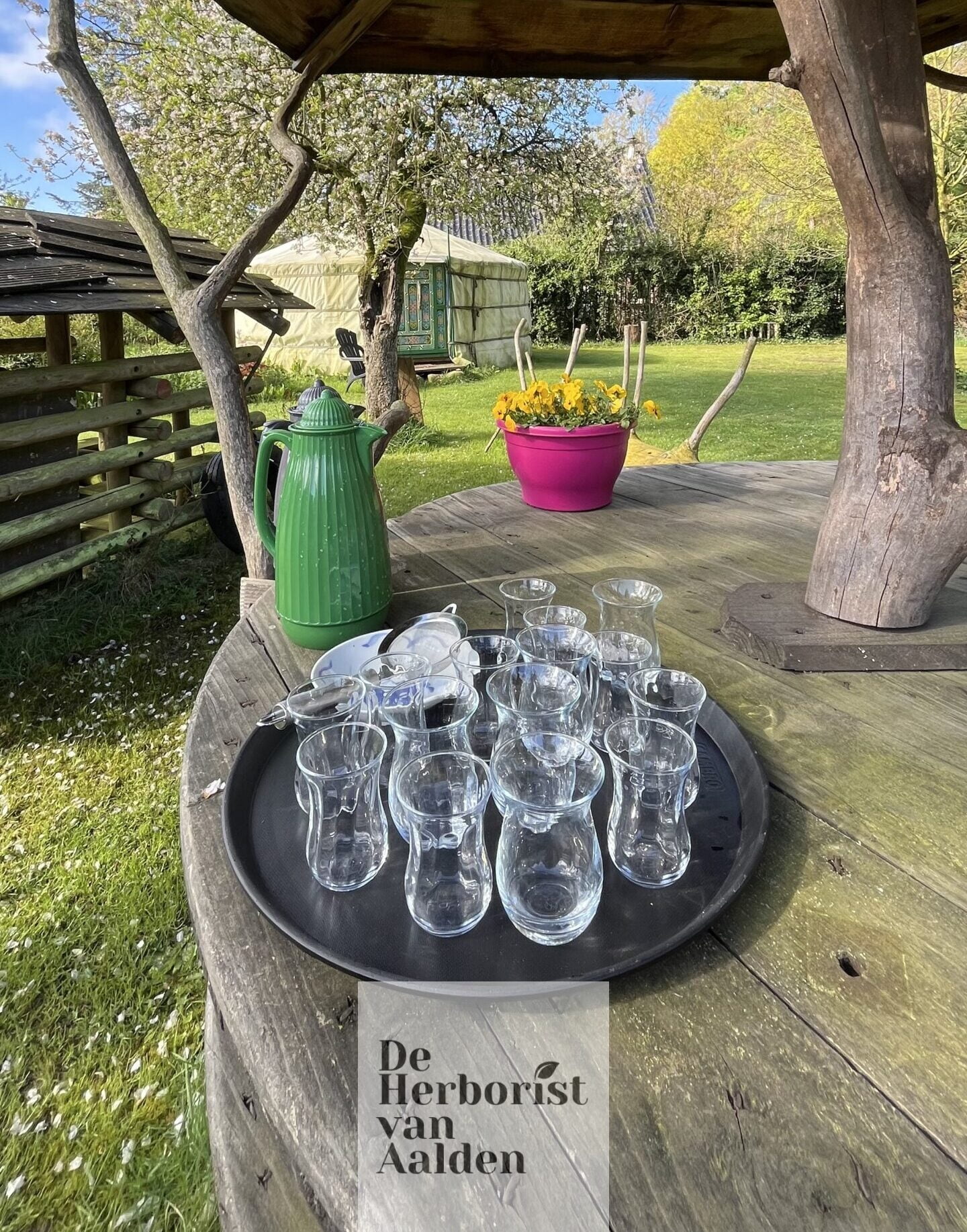 Mindful Experience Drenthe yoga en outdoor mindfulness retreat in de Emmerdennen Mindful Experience Drenthe yoga en outdoor mindfulness retreat in de Emmerdennen