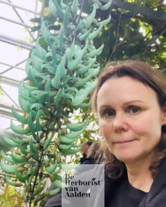 De Herborist van Aalden in de Hortus Botanicus Leiden bij de bloeiende Jadeboom