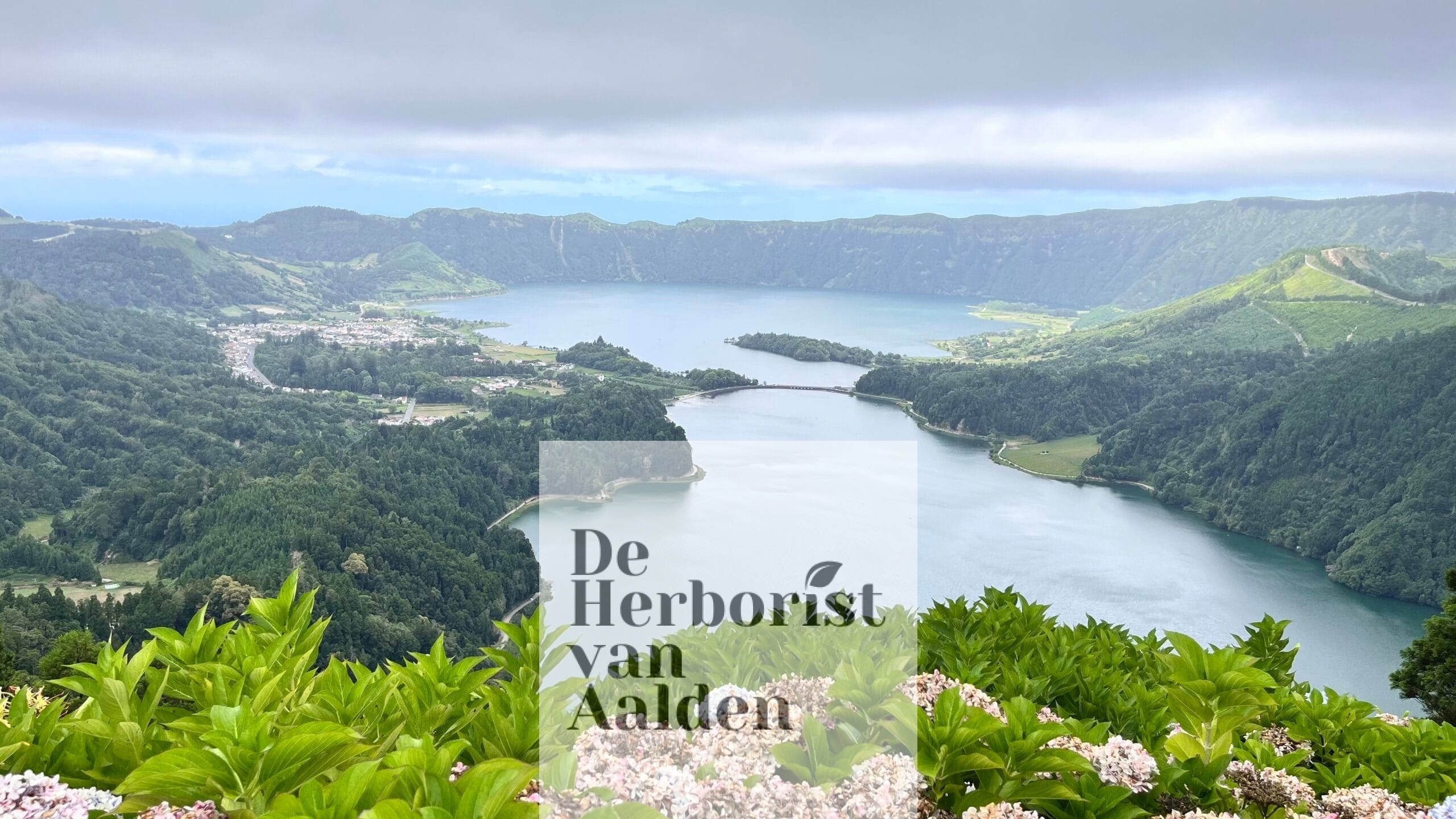 © De herborist van Aalden. Sete Cidades