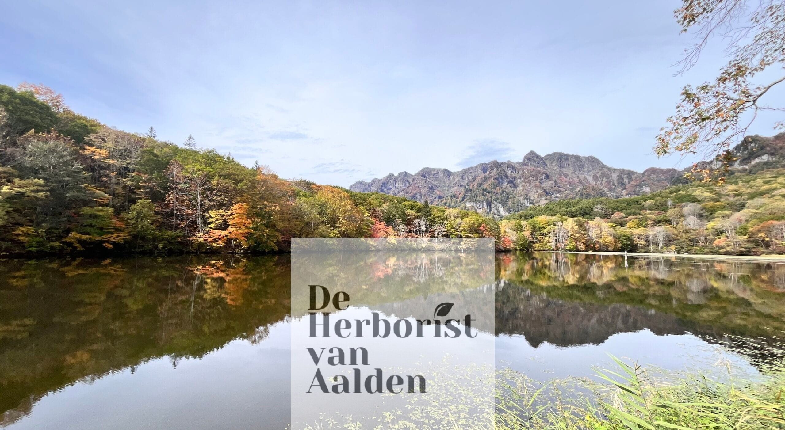© De Herborist van Aalden in Japan, Kim Voets. Kagami Lake, Nagano.
